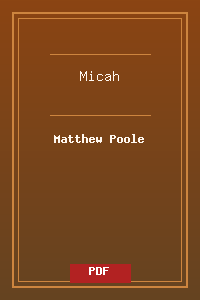 33 Micah.pdf