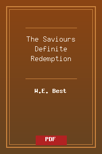 The_Saviours_Definite_Redemption.pdf