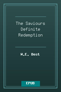 The_Saviours_Definite_Redemption.epub