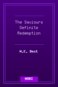 The_Saviours_Definite_Redemption.mobi