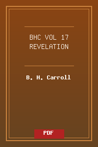 BHC_VOL_17 REVELATION.pdf