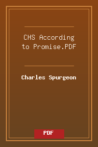 CHS_According to Promise.PDF.pdf