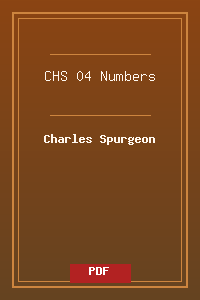 CHS 04 Numbers.pdf