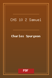 CHS 10 2 Samuel.pdf