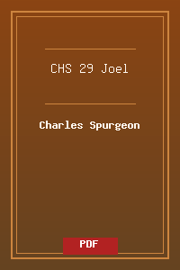 CHS 29 Joel.pdf