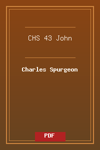 CHS 43 John.pdf