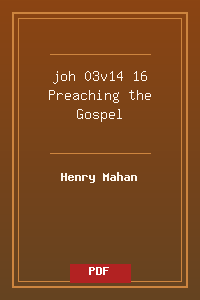 joh 03v14-16 Preaching the Gospel.pdf