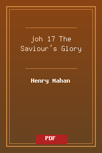 joh 17 The Saviour's Glory.pdf